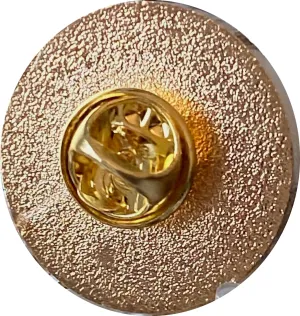 AA Lapel Pin Blue Color Gold Plated No Number Plain Front