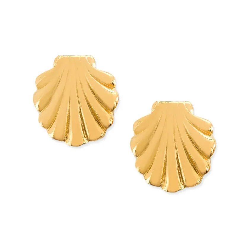Seashell Earrings Water Resistant